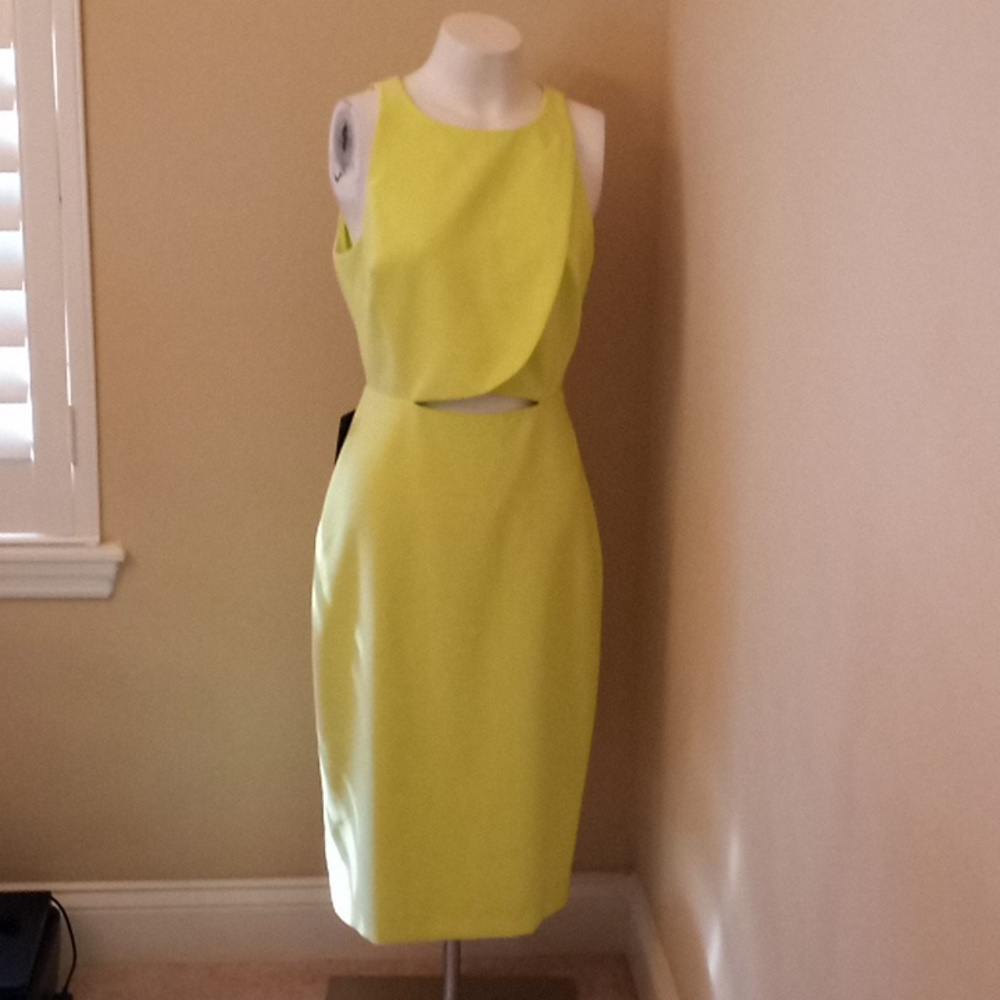 NWT Bebe A-line Dress Size 8